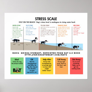 Dog Stress Scale - Avoidance/Fear Beach Analogy Poster