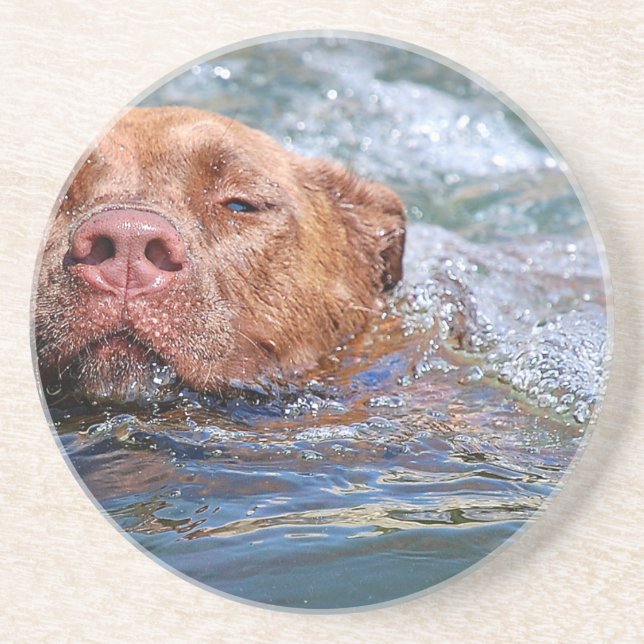 Dog Swimming Coaster (Front)