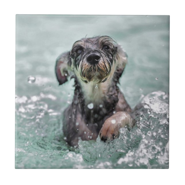 Dog Swimming Doggy Paddle Ceramic Tile (Front)