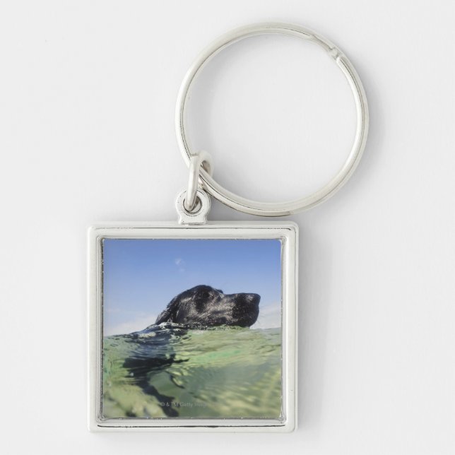 Dog swimming in water key ring (Front)