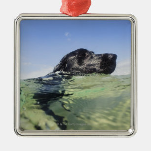 Dog swimming in water metal ornament