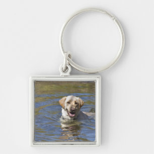 Dog swimming key ring