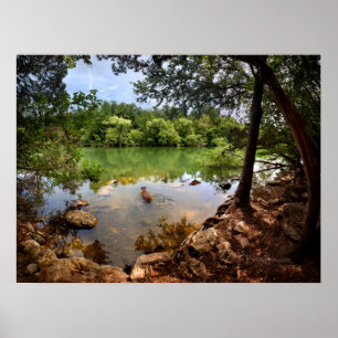 Dog Swimming Ladybird Lake 2 - Austin Texas Poster