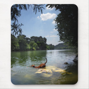 Dog Swimming Ladybird Lake - Downtown Austin Texas Mouse Pad