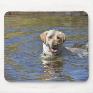 Dog swimming mouse pad