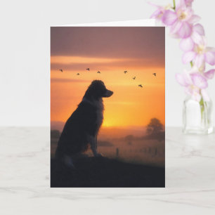 Dog Sympathy Border Collie in Sunset Condolences Card