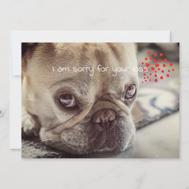 Dog Sympathy Card (Front)