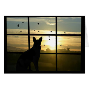 Dog Sympathy, Loss of Dog Card