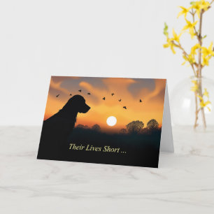 Dog Sympathy Loss of Dog Silhouetted in Sunset  Card