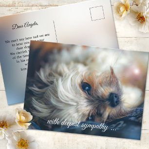 Dog Sympathy Postcard