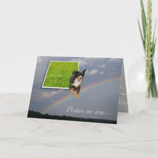 Dog sympathy Rainbow card