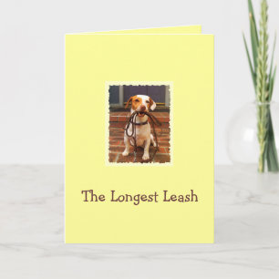 Dog taking the Longest Leash home Thank You Card