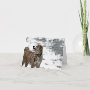 Dog Thank You Card