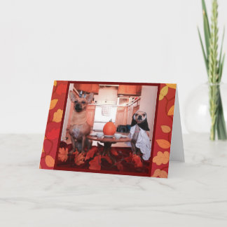 Dog Thanksgiving Holiday Card