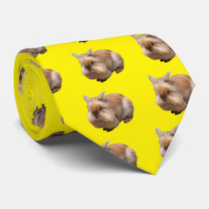 dog tie