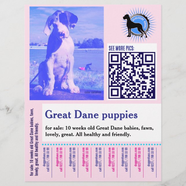 Dog Trainer Flyer pink  (Front)