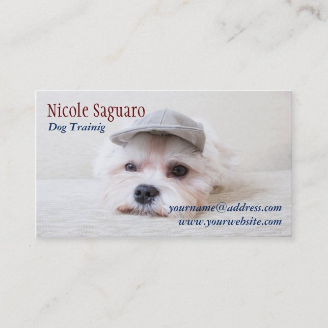 Dog Trainer Groomer Business Card (Front)