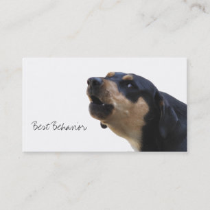 Dog training behaviour specialist business card