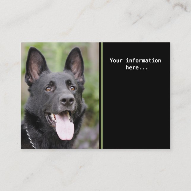 Dog training business card (Front)