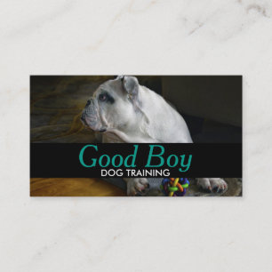 Dog Training Pet Sitting Walker Business Card