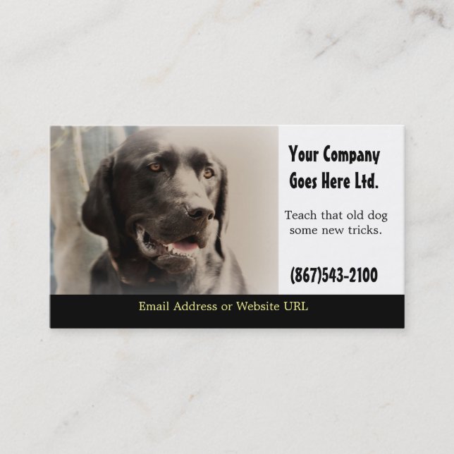 Dog Training Services Business Card (Front)