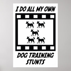 Dog Training Stunts Poster
