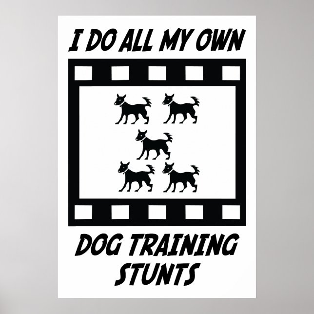 Dog Training Stunts Poster (Front)