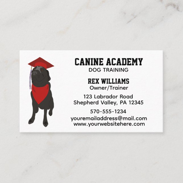 Dog Training Trainer Obedience School  Business Card (Front)