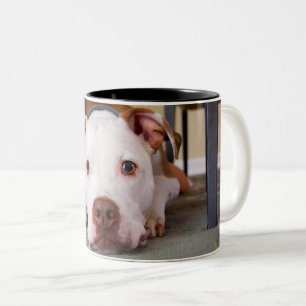 Dog Two-Tone Coffee Mug