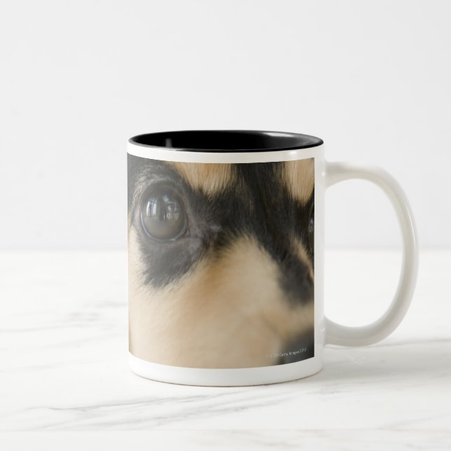 Dog Two-Tone Coffee Mug (Right)