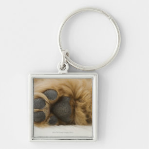 Dog, view of leg key ring