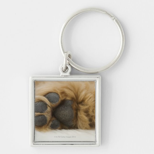 Dog, view of leg key ring (Front)