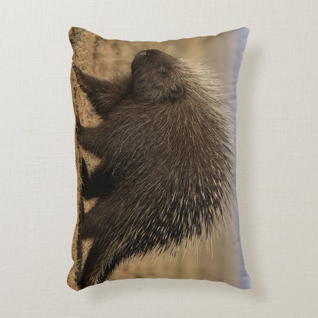 Dog vs. Porcupine Accent Pillow (Front(Vertical))
