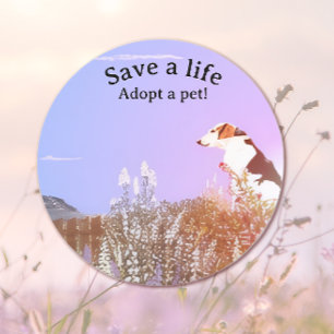 Dog Waiting for his Family Classic Round Sticker