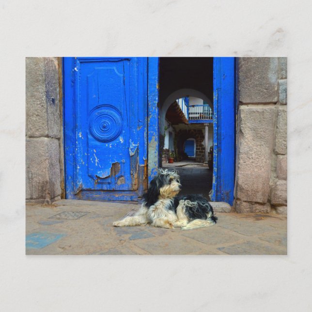 Dog Waiting in Front Of Blue Door, Cusco, Peru Postcard (Front)