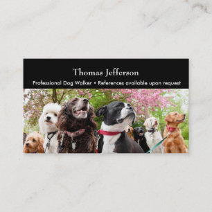 Dog walker  Business Card
