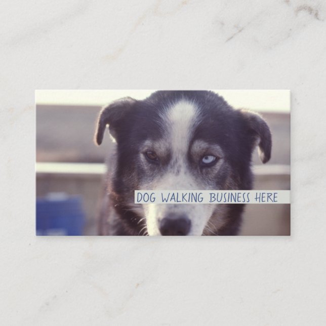 Dog Walker Business Card (Front)