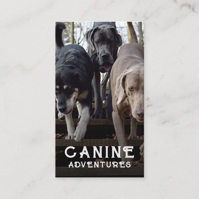 Dog Walker Custom Photo Business Card (Front)