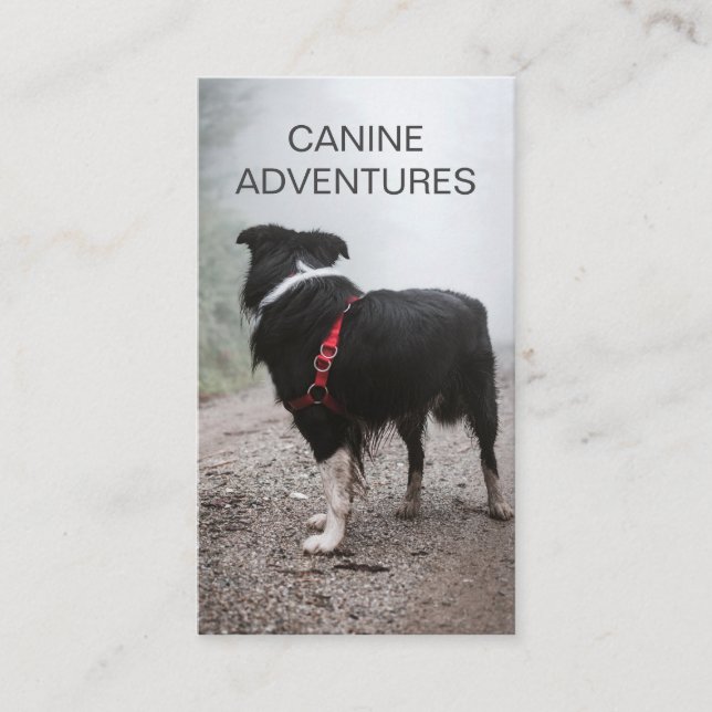 Dog Walker Dog Hikes And Pet Care Business Card (Front)