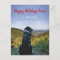 Dog Walker Pet Care Holiday Greeting Card
