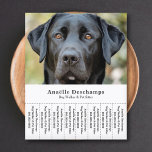 Dog Walker Pet Sitter Photo Tear Off Strips Flyer<br><div class="desc">A sleek and minimalist white flyer with Tear Off Strips featuring a customisable photo of a cute black Labrador,  perfect for dog walker & pet sitter,  Canine Behaviour Educator,  groomer. You can replace the photo with your own logo! On the back there is a dog paw pattern!</div>