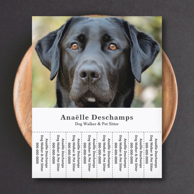 Dog Walker Pet Sitter Photo Tear Off Strips Flyer (Dog Walker Pet Sitter Photo Tear Off Strips Flyer)