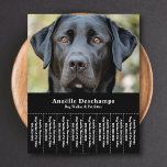 Dog Walker Pet Sitter Photo Tear Off Strips Flyer<br><div class="desc">A sleek and minimalist black flyer with Tear Off Strips featuring a customisable photo of a cute black Labrador,  perfect for dog walker & pet sitter,  Canine Behaviour Educator,  groomer. You can replace the photo with your own logo! On the back there is a dog paw pattern!</div>