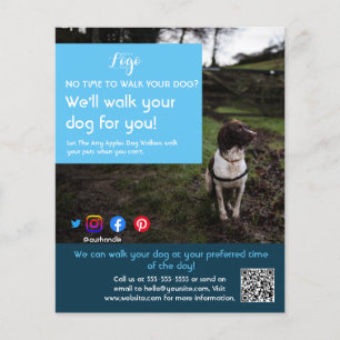 dog walker pet sitting pet service grooming flyer