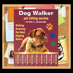 Dog Walker Trustworthy Care Pet Sitting Service Ad