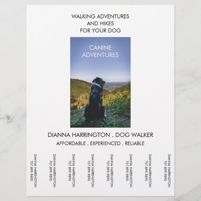 Dog Walker Walking Adventure Walks And Hikes Flyer (Front)