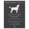 Dog Walker Walking Business Flyer Template