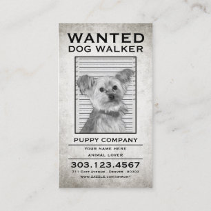 dog walker wanted poster business card