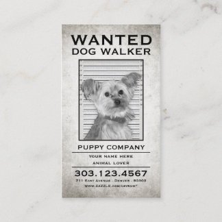 dog walker wanted poster business card