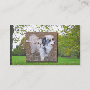 Dog Walking Business Card